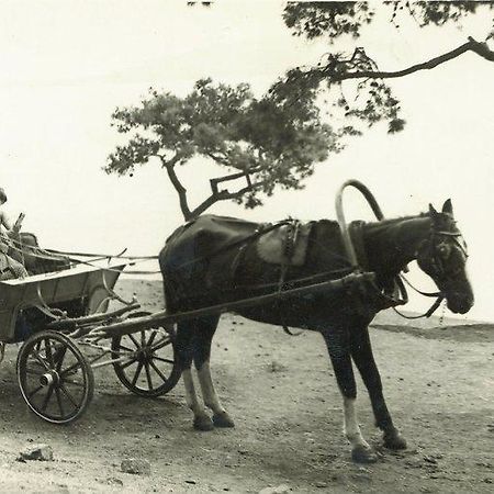 Orhan Kutbayin Evi Adalar Ngoại thất bức ảnh